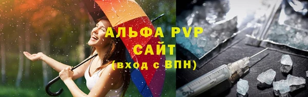 сатива Белокуриха