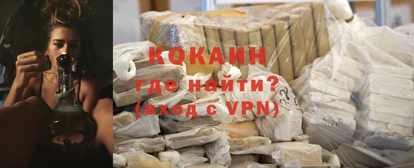 сатива Белокуриха