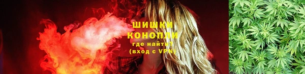 сатива Белокуриха