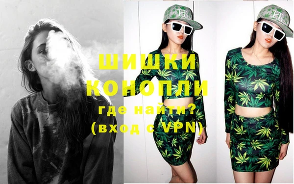сатива Белокуриха