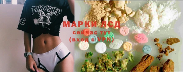 сатива Белокуриха