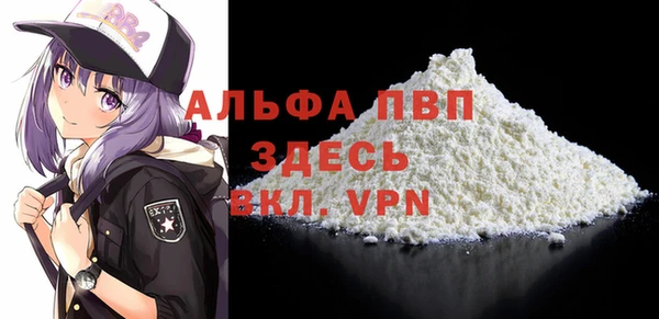 сатива Белокуриха